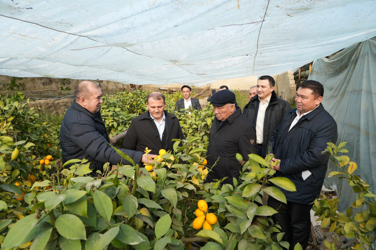 Yangiobodlik aholi bilan uchrashuvlar tashkil etildi