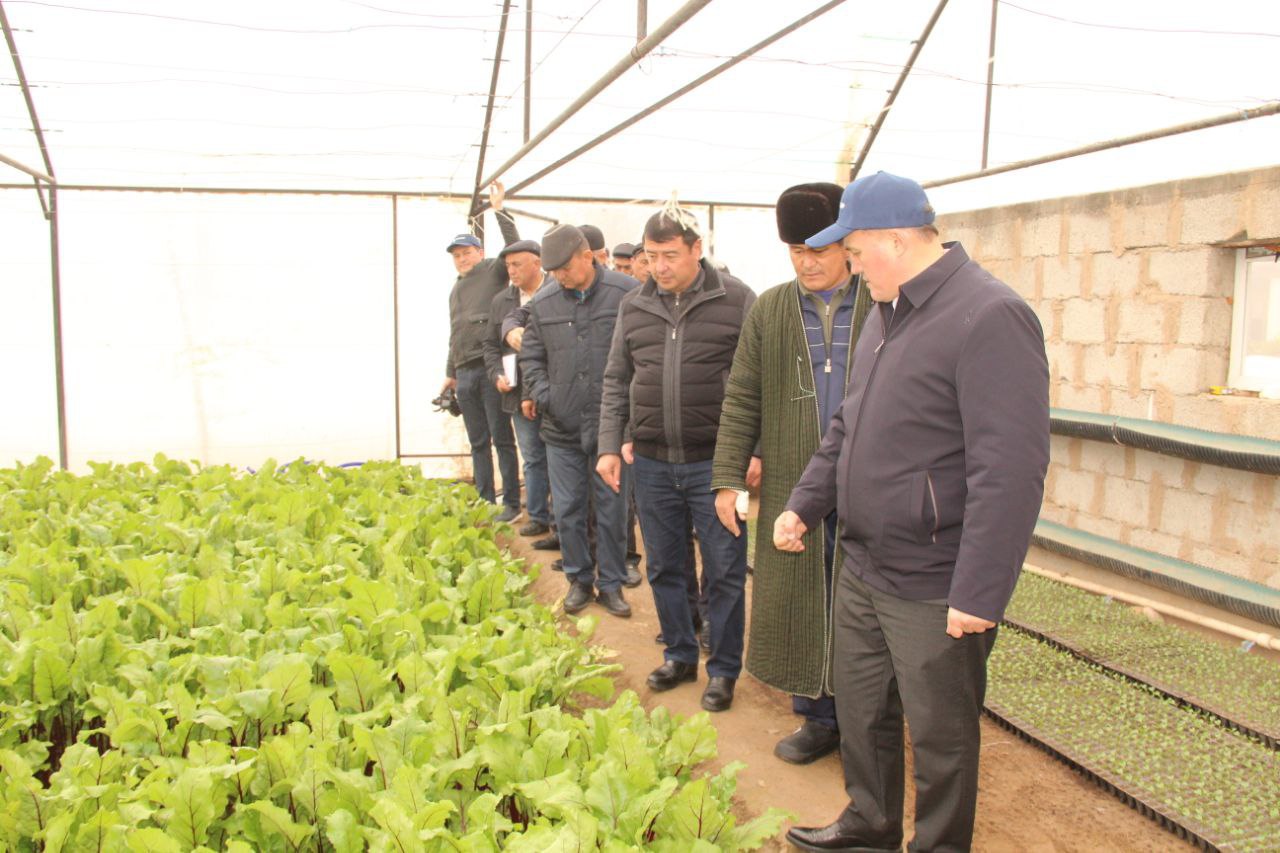 Angorlik tajribali tomorqachilarning faoliyati bilan tanishildi